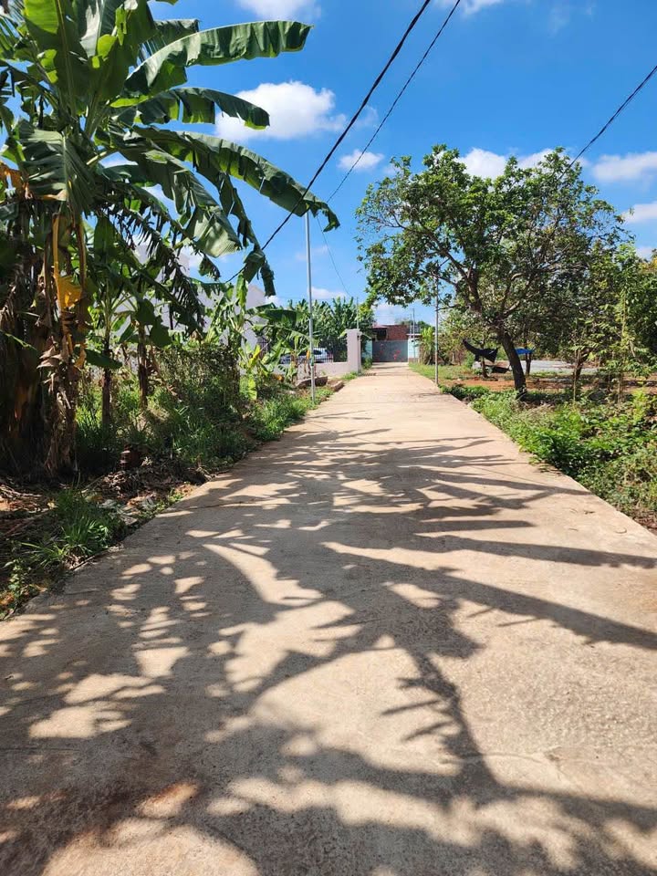 Đất nền Sổ hồng Full Thổ cư Xã Gia Kiệm, Đồng Nai - 650 triệu