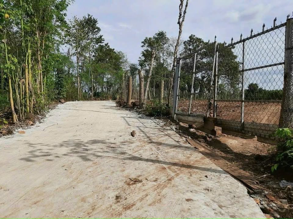 Bán Đất Cẩm Mỹ 1800m² - Đường Xe Hơi Tới Đất - Giá 1.35 Tỷ