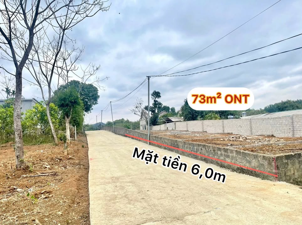 Đất nền Cao Dương, Lương Sơn 73m² - Đất thổ cư 100%!