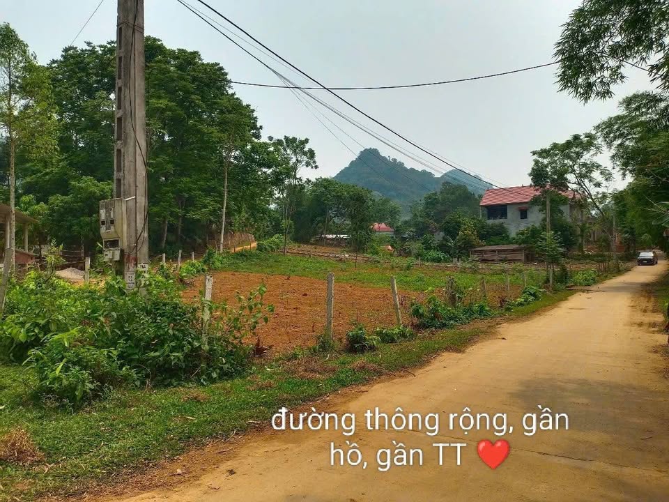 Đất nền Tân Lạc, Hòa Bình 226m² - Sổ đỏ sẵn, giá chỉ 299 triệu