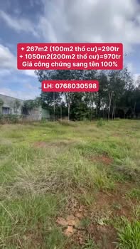 Đất Vườn Bình Phước Giá Mềm 1050m² - Sổ Đỏ Riêng, Giá Chỉ Từ 490 Triệu