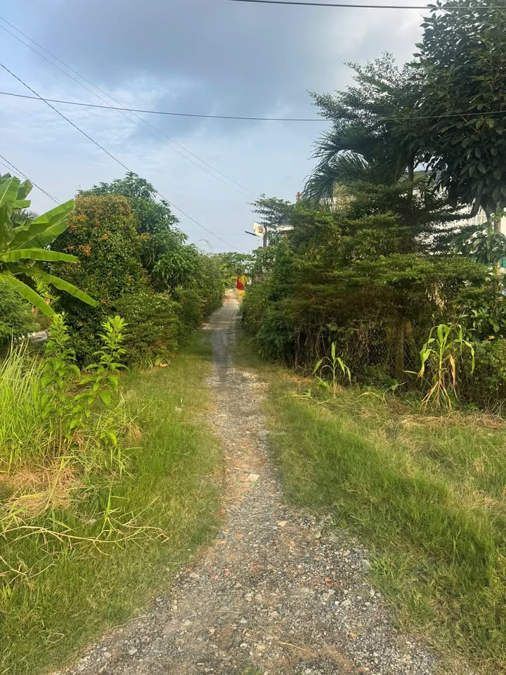 Bán Đất Nền 150m² - Sổ Riêng - P. Khánh Hậu, TP. Tân An - Giá 690 Triệu