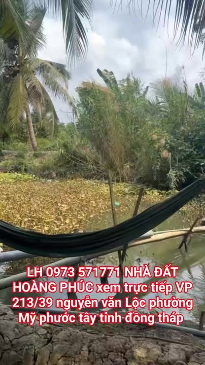 Đất Vườn Mỹ Lợi A, Cái Bè 5752m² - Sinh Thái Xanh, Nhà Sẵn Ở!