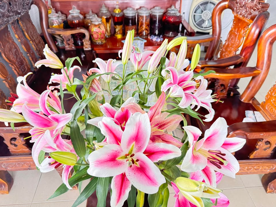 Bán Gấp 2 Lô Đất Liền Kề 105m² Sổ Hồng 255 Triệu Tại Châu Thành, Long An