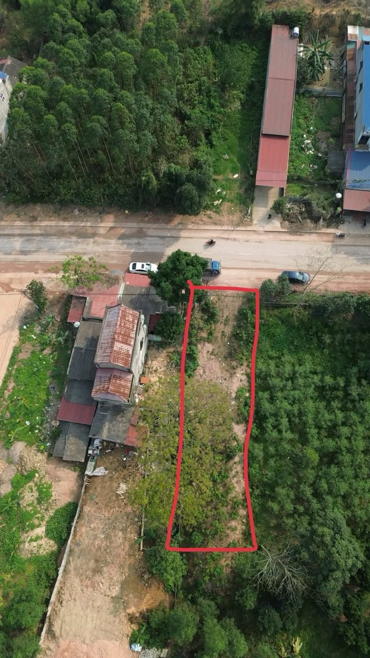 Đất nền Quốc lộ 17 Từ Sơn 400m² - Tiềm năng tăng giá vượt trội!