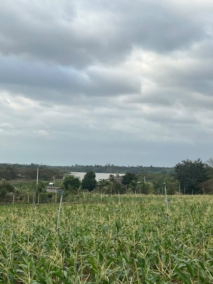 Đất Đắk Lắk - 360m² Thôn 9 Hòa Phú, BMT - Giá Tốt Đầu Tư