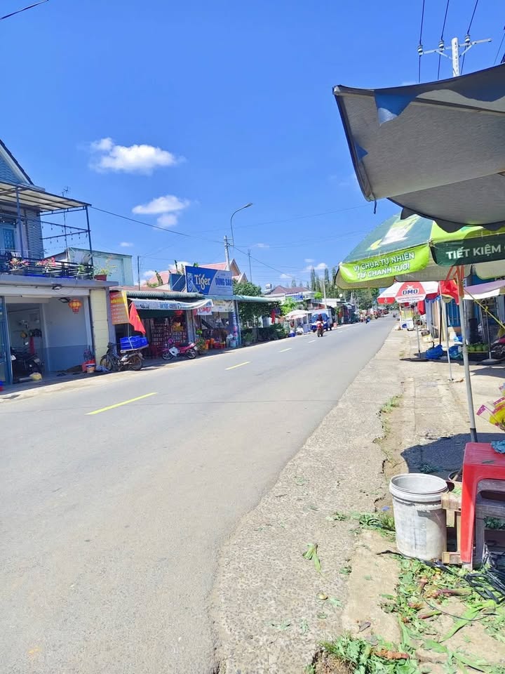 Đất nền Bình Lộc Long Khánh 288m² - Tiềm năng tăng giá vượt trội!