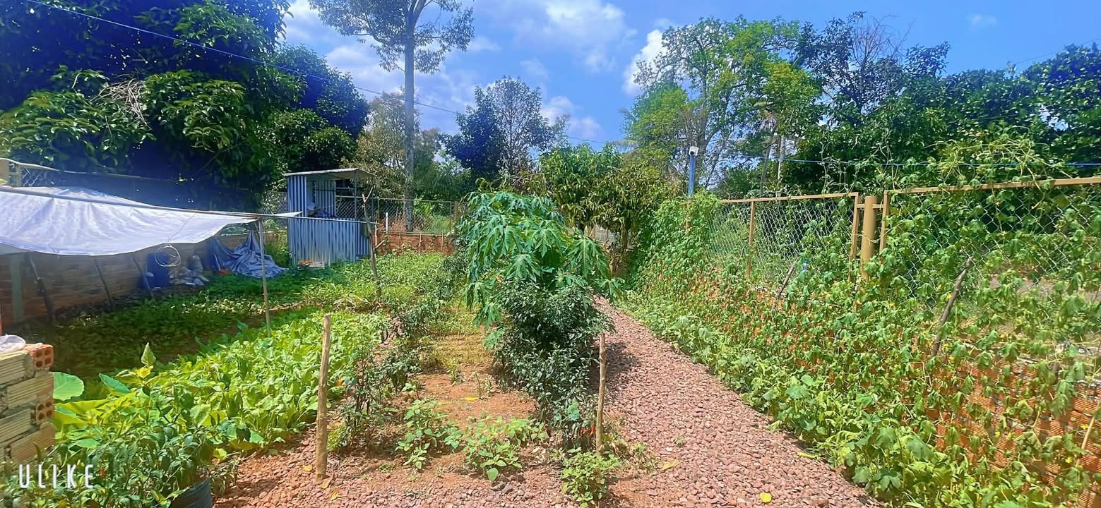 Đất Vàng Long Khánh: 350m² 3 Mặt Tiền Gần UBND Bàu Trâm - 890 Triệu