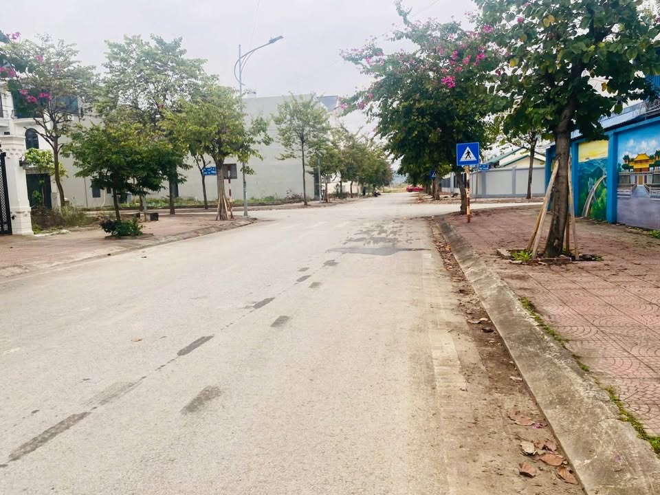 Đất nền TĐC Mai Pha Lạng Sơn 170m² 7 tỷ - Tiềm năng tăng giá vượt trội!