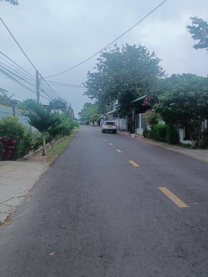 Đất Nền Phước Tân, Xuyên Mộc - 252m² Thổ Cư, Sát Chợ, 1.35 Tỷ