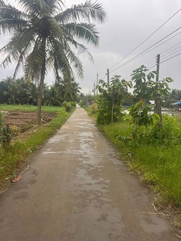 Bán Đất Vĩnh Long 517m² Mặt Tiền Đường Lộ Đan 4m - Giá 900 Triệu