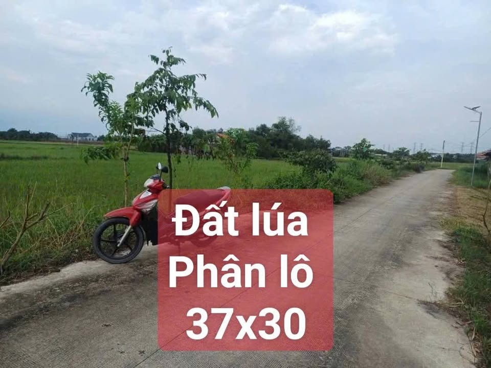 Đất nền Đức Hòa, Long An 1110m² giá 5.18 tỷ - Pháp lý rõ ràng