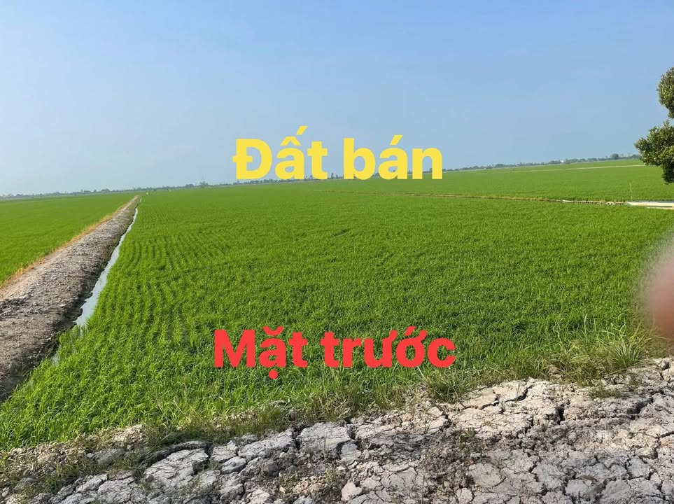 Đất Vườn Đồng Tháp 22.500m² - 2 Mặt Tiền Kênh, Ô tô Tới Đất