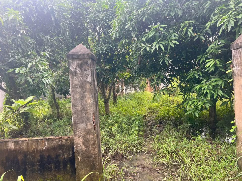 Đất nền 794m² Đường Cao Thắng, Sóc Trăng - Tiềm năng tăng giá vượt trội!