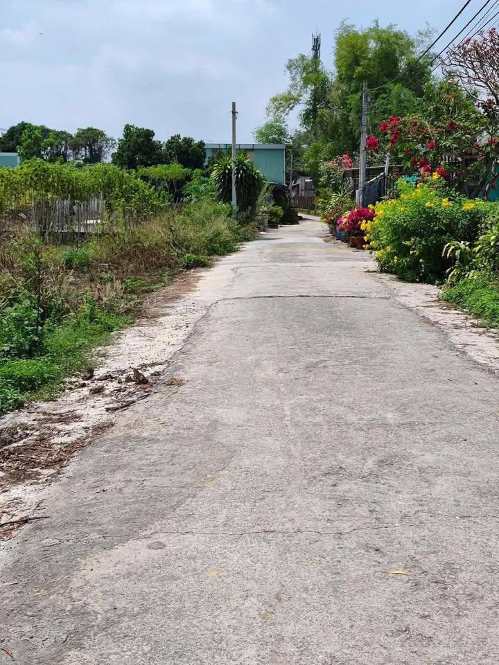 Bán Đất Tân Hiệp, Tân Uyên 139m² - Sổ Đỏ Sẵn Sàng, Giá 1.5 Tỷ