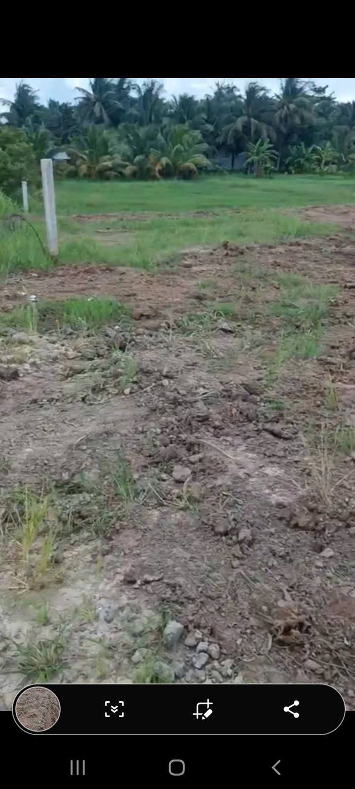 Đất lúa Châu Thành, Trà Vinh 1185m² giá 1.5 tỷ - Đầu tư dài hạn!