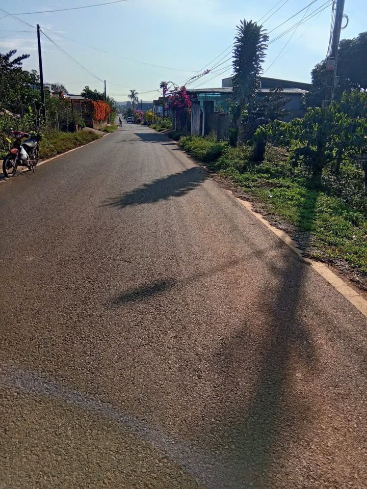 Đất Nền Tân Nghĩa, Di Linh 840m² Mặt Đường Nhựa - Hơn 2 Tỷ, Sẵn Nhà Cấp 4