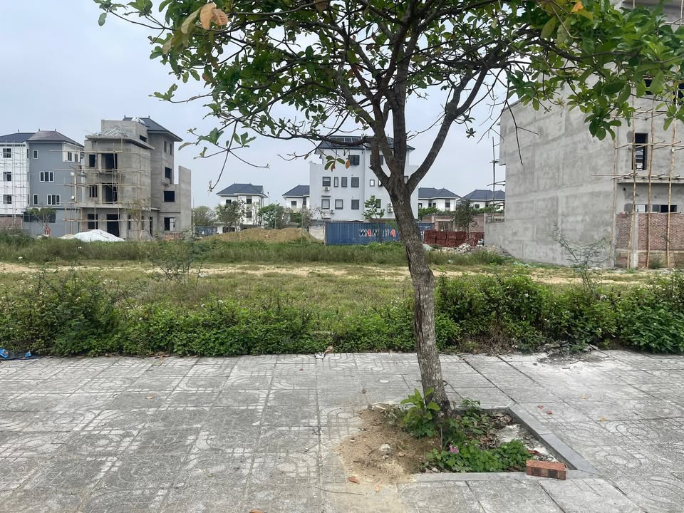 Đất nền Đường Đậu Yên, Vinh Tân 181m² - Tiềm năng tăng giá vượt trội!