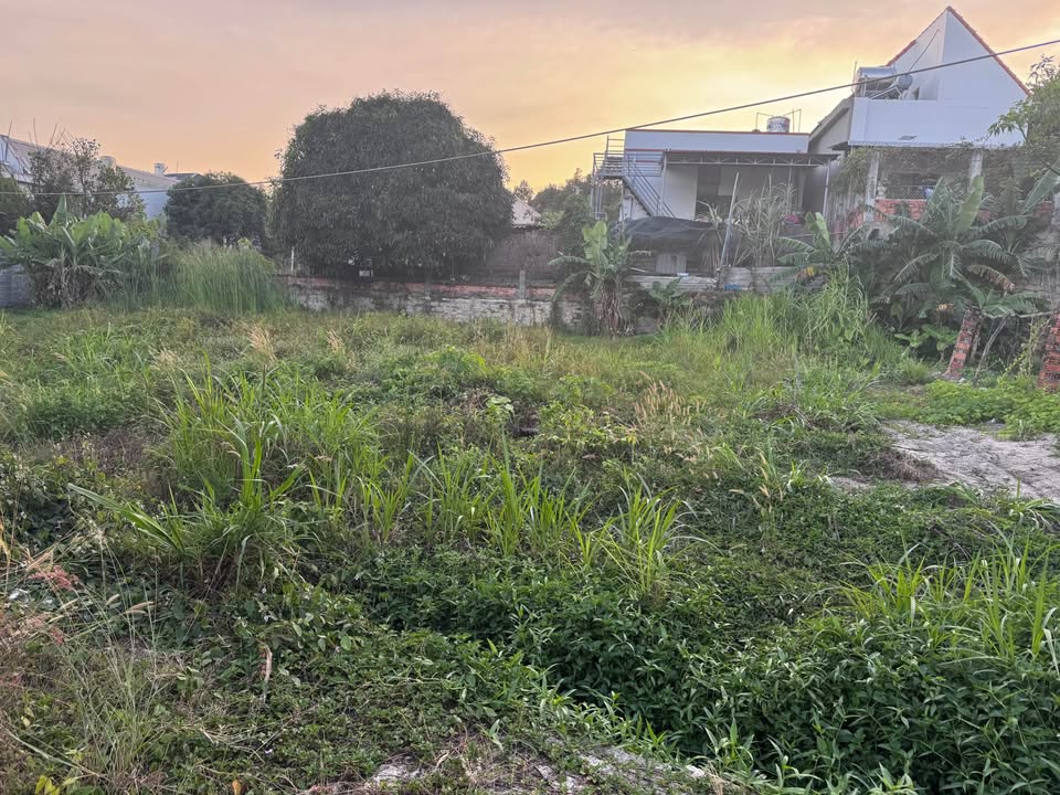 Đất Vườn 300m² Ngô Gia Tự - Sổ Đỏ Thổ Cư, Giá 1.5 Tỷ