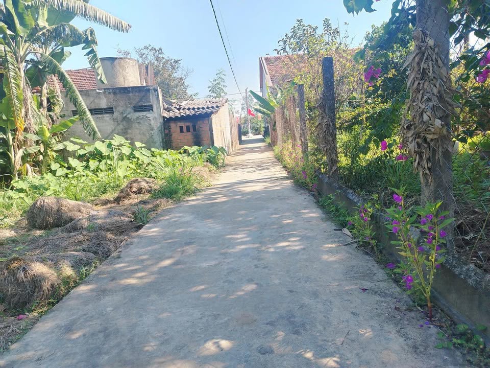 Đất nền Hòa Phong 157.5m² - Tiềm năng tăng giá cực mạnh!