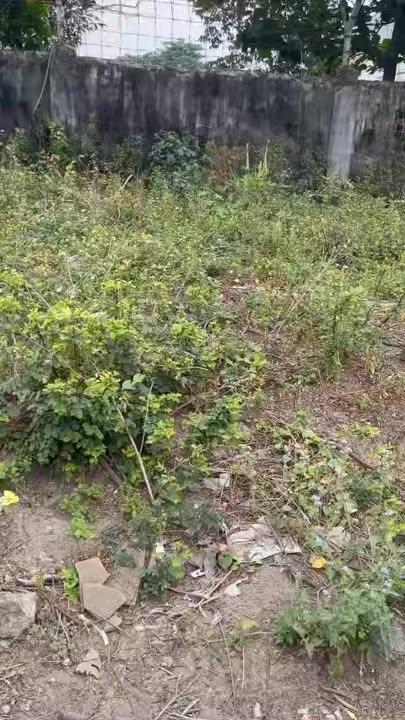 Bán Đất Kiệt 75 Nguyễn Văn Cừ, Đà Nẵng - 121.5m², Mặt Tiền Rộng 17m, Giá 1.85 Tỷ