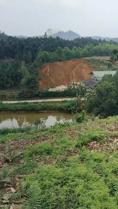 Bán Gấp Trang Trại 6300m² Xã Việt Cường - Sổ Thổ Cư, Giá Tốt