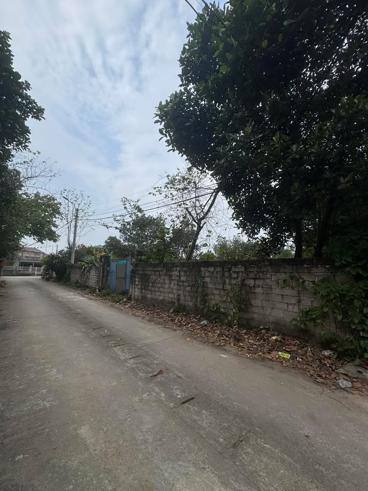 Đất nền Tùng Thiện Sơn Tây 1045m² - Sổ đỏ chính chủ, ô tô vào tận nơi