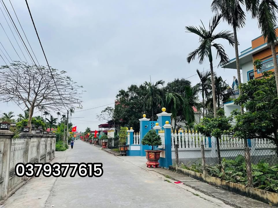 Đất Thổ Cư 300m² Kim Sơn, Ninh Bình - Sổ Đỏ Sẵn Sàng, Đường Ô Tô