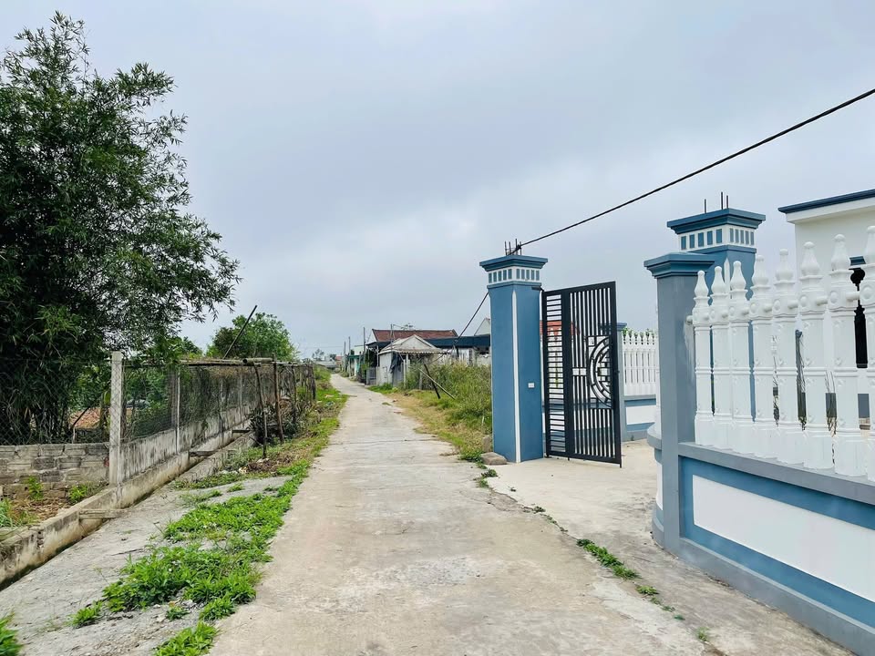 Đất Thổ Cư Kim Sơn 245m² - Sổ Đỏ Sẵn Sàng - Giá Đầu Tư 585 Triệu