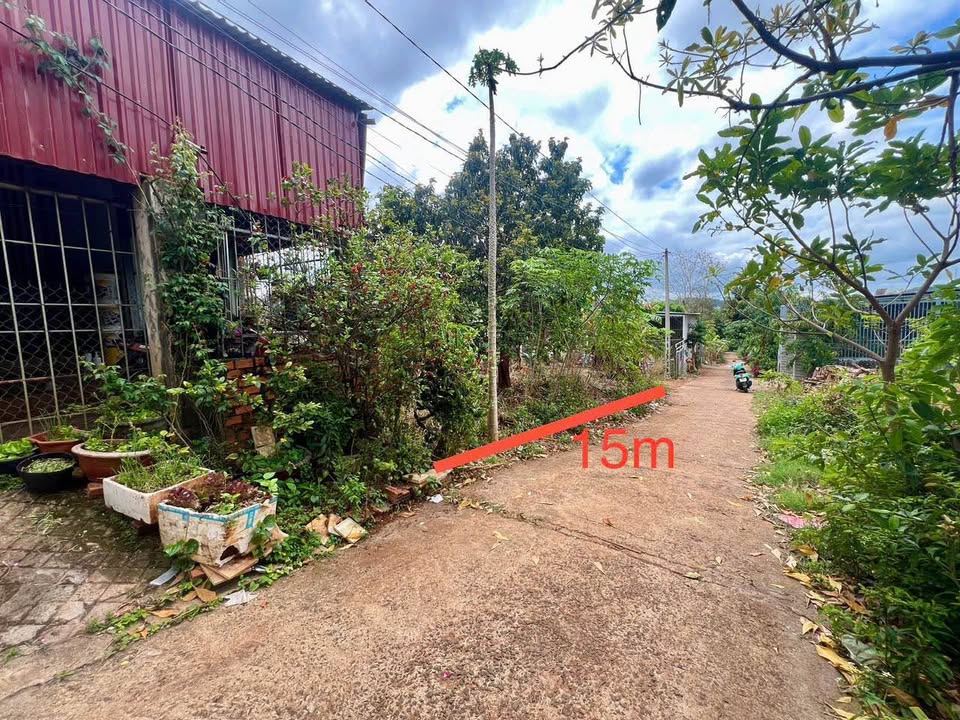 Đất Vườn Buôn Ma Thuột - 3 Mặt Tiền 390m² Hướng Tây, Giá 1.6 Tỷ