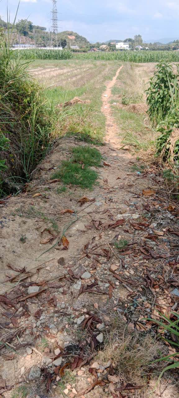 Bán Đất Ruộng Mặt Đường 2600m² Tại Xã An Nhơn, Đạ Huoai - Giá 3.4 Tỷ