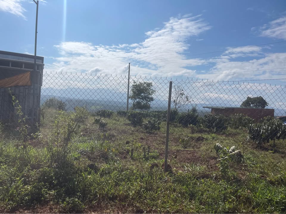 Đất nền Di Linh, Lâm Đồng 1ha giá 3.2 tỷ - Đường to ô tô