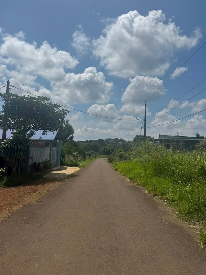 Đất Vàng Mặt Tiền Nhựa Lộc Tân, Bảo Lộc - 1860m² Thổ Cư, Giá 4.5 Tỷ