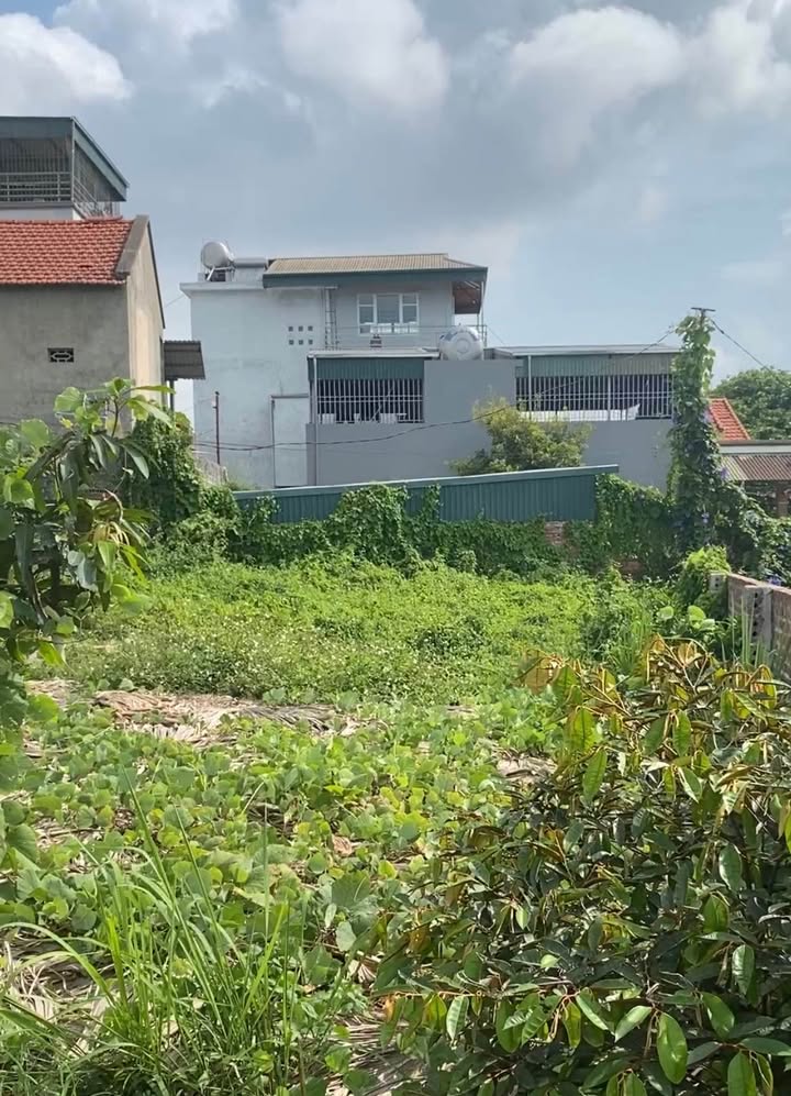 Bán Đất Nền 367m² Nam Ga Hạ Long - Hướng Đông Nam, Giá 5 Tỷ