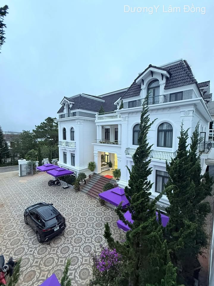 Cho thuê Villa 20 phòng Đồi Huy Hoàng, Đà Lạt - 1300m² kinh doanh lý tưởng