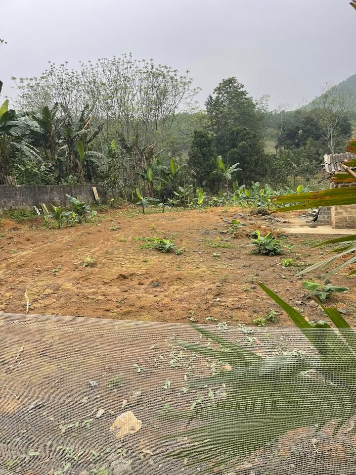 Đất Vĩnh Đồng Kim Bôi 700m² - Sổ Hồng Thổ Cư, Mặt Tiền Rộng 15m