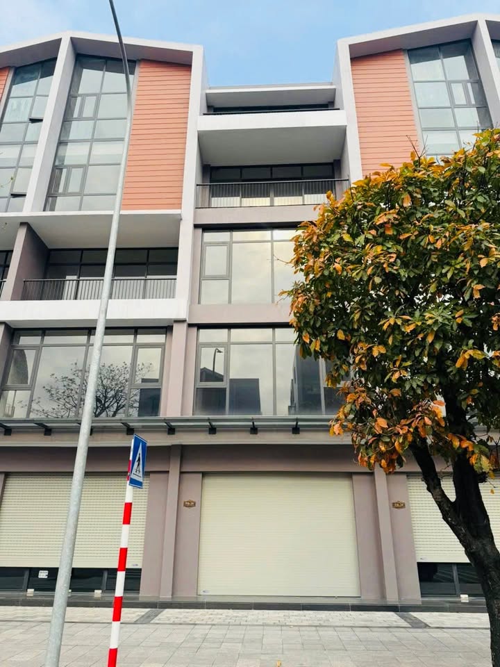 Shophouse Ocean Park 3 88m² View Grand World - Sôi động kinh doanh