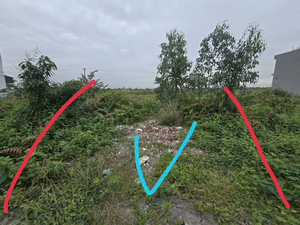 Đất nền Mắt Rồng, Thủy Nguyên 200m² - Sổ đỏ chính chủ, giá tốt