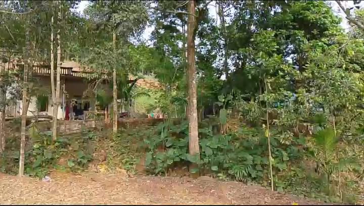 Đất nền Toàn Thắng view hồ 526m² giá F0 - Tiềm năng tăng giá