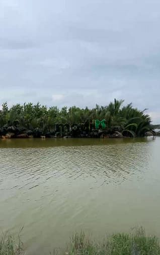 Đất Vườn Nhơn Trạch 2000m² - View Sông, Đường Oto, Gần Sân Bay Long Thành