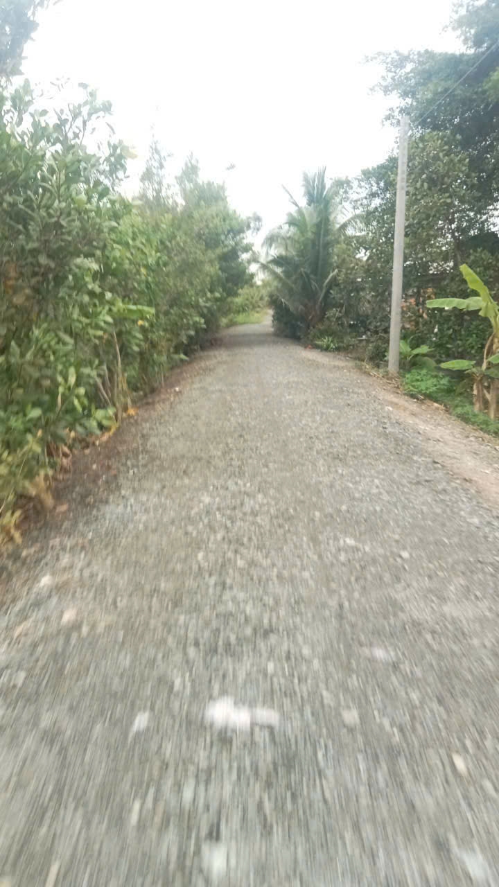 Bán Đất Thổ Vườn Bến Lức 2230.9m² - Sổ Riêng, Ô Tô Tới Nhà