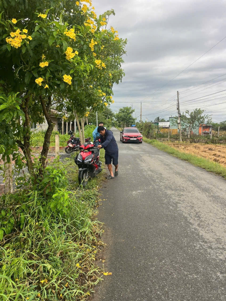 Đất nền Nhựt Chánh, Bến Lức 150m² - Đất thổ cư 100%!