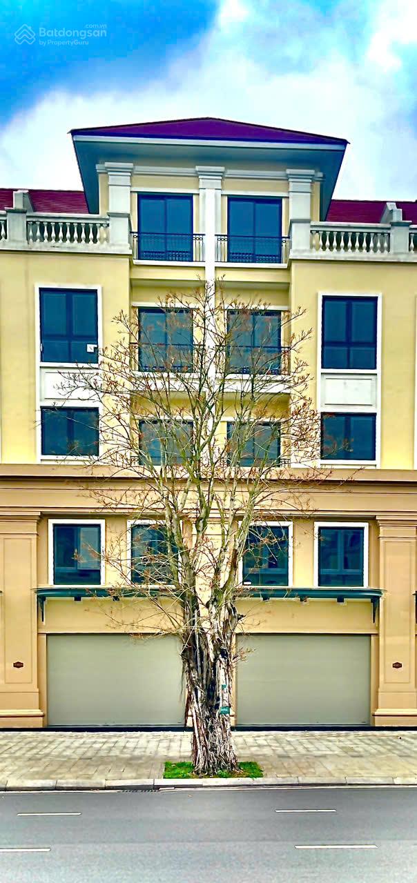 Shophouse Mặt Đại Lộ San Hô 240m² - Kinh Doanh & Đầu Tư Đắc Lợi