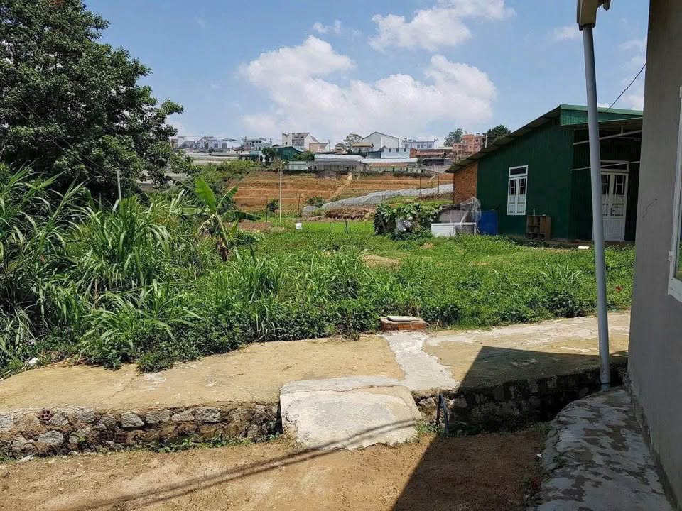Bán Đất Nông Nghiệp Trại Mát Đà Lạt 170m² - Giá 650 Triệu