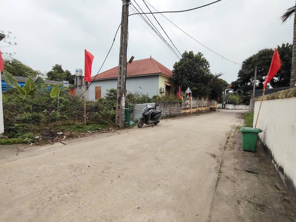 Bán Đất Phú Ninh - Thanh Vân (Tam Dương, Vĩnh Phúc) 99.5m² - Sổ Hồng Rõ Ràng