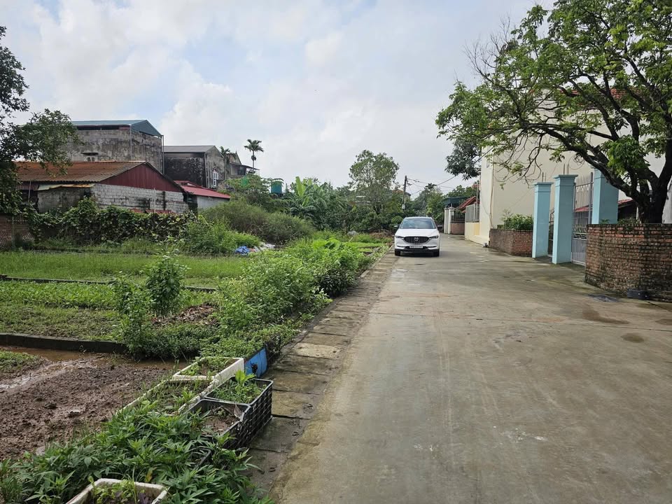 Đất nền Kim Động 67m² giá 1.2 tỷ - Tiềm năng tăng giá cực lớn!