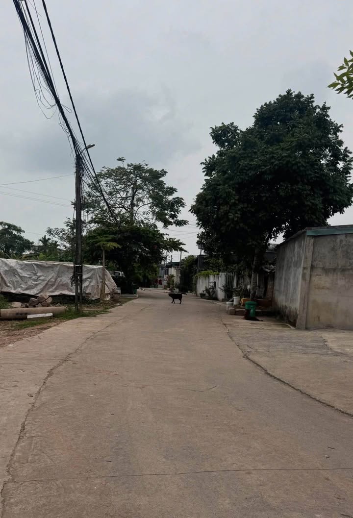 Đất nền Móng Cái 118m² - Tiềm năng tăng giá vượt trội!