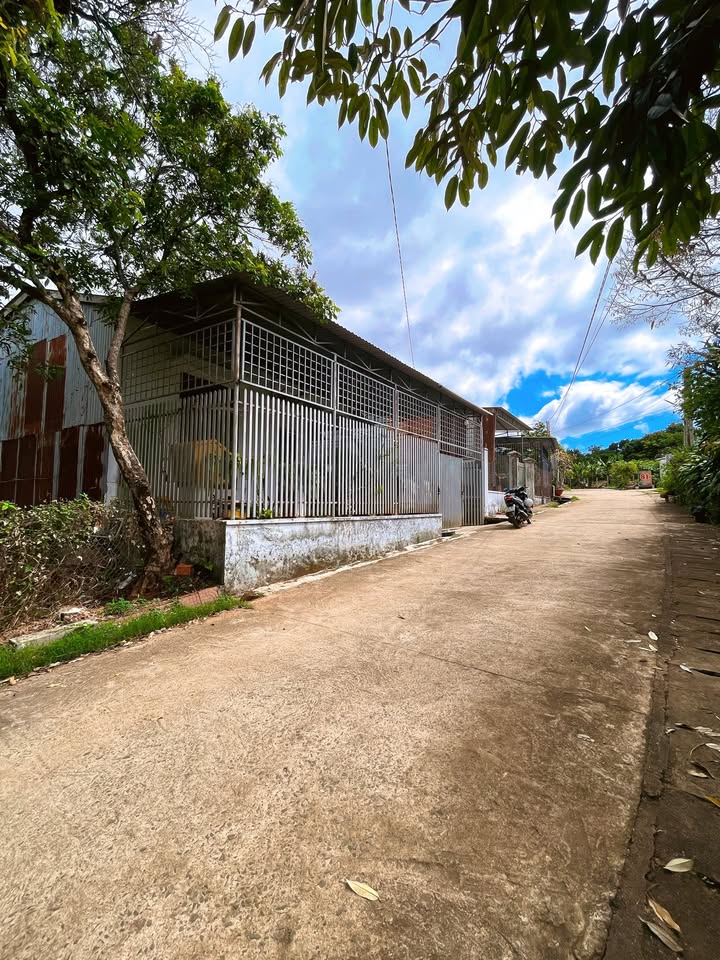 Đất Vàng Pleiku 240m² Mặt Tiền 8m - Sẵn Sàng Xây Nhà Vườn/Tách 2 Sổ