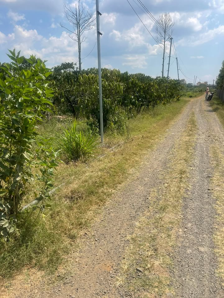 Đất Nền Tân Văn, Lâm Hà 7200m² - Tiềm Năng Tăng Giá Vượt Trội!