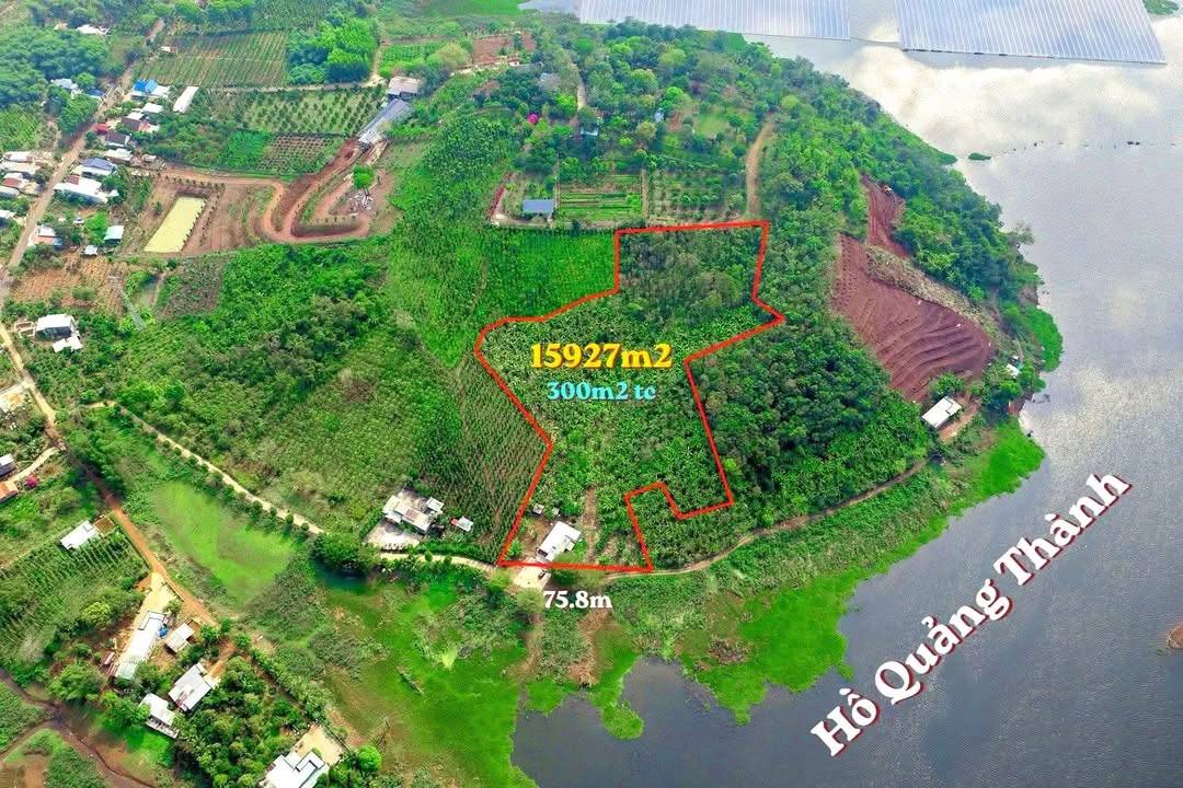 Đất nền Quảng Thành 1.6ha - Sổ đỏ chính chủ, view hồ tuyệt đẹp!